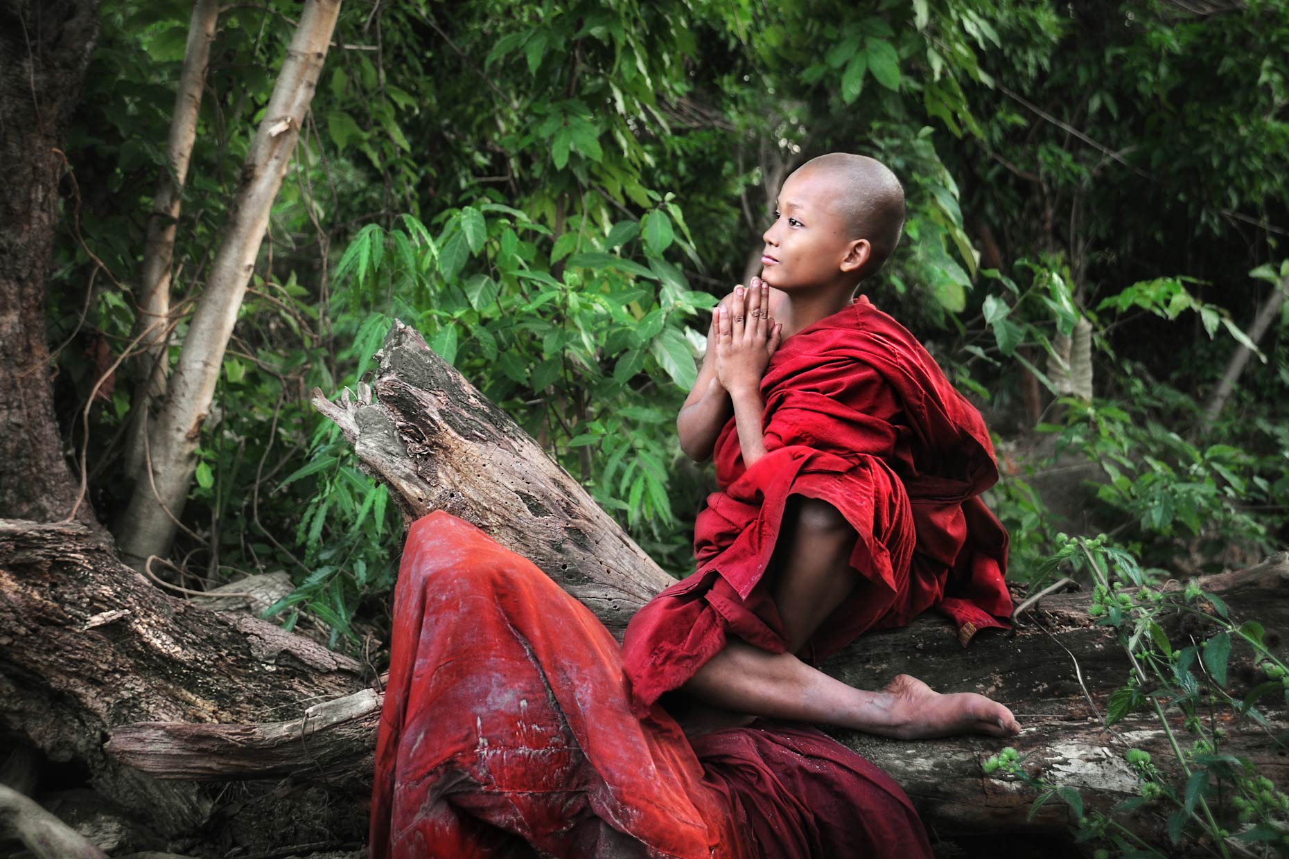 Burma-monk-6.jpg