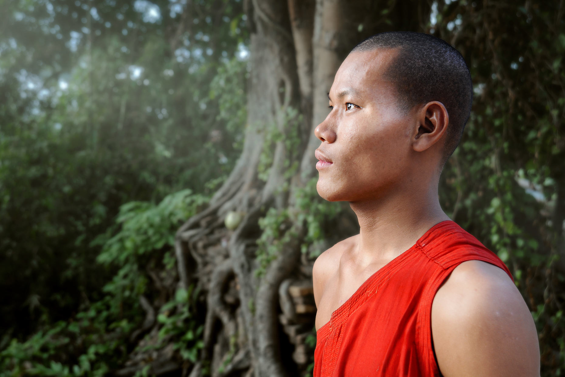 Burma monk 5.jpg