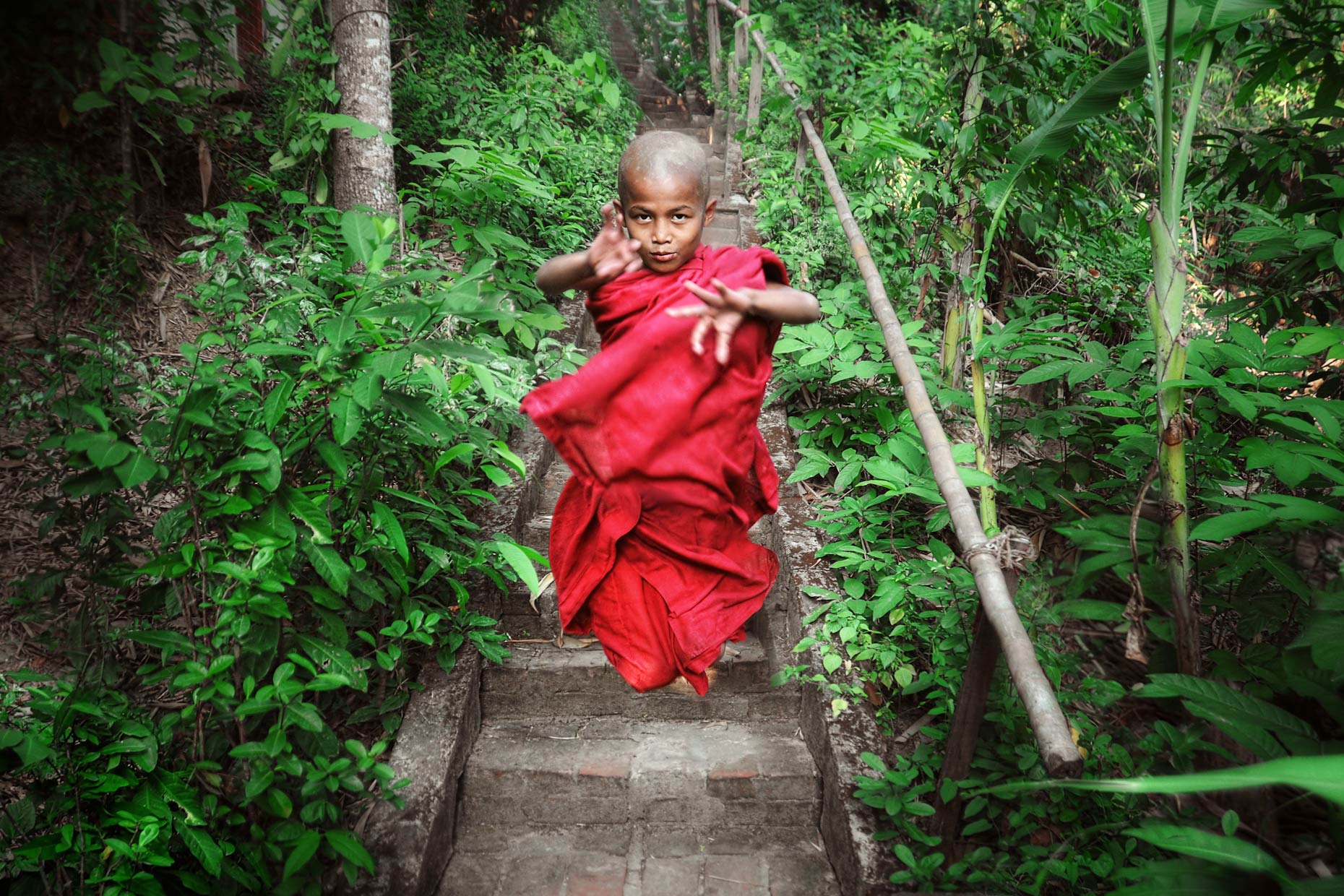 Burma monk 6.jpg