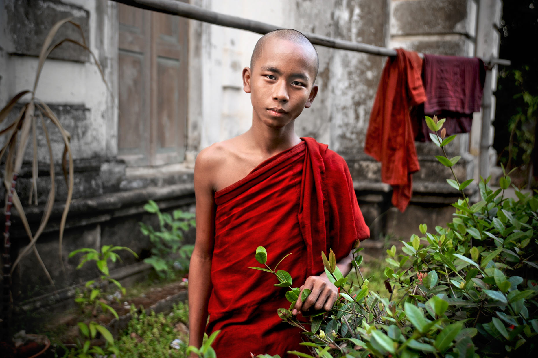 Burma monk 7.jpg